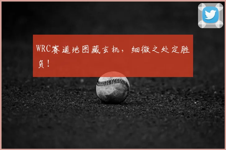 WRC赛道地图藏玄机，细微之处定胜负！