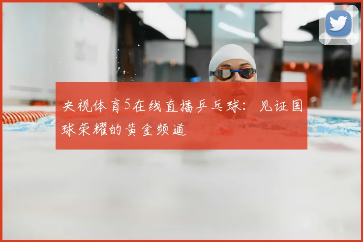 央视体育5在线直播乒乓球:见证国球荣耀的黄金频道