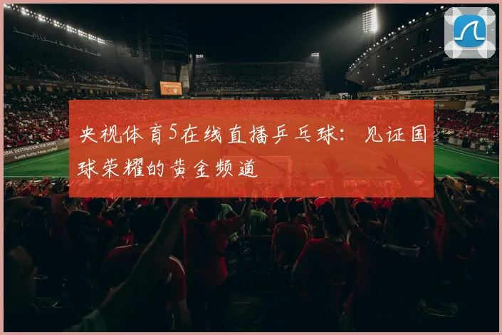 央视体育5在线直播乒乓球：见证国球荣耀的黄金频道