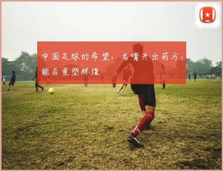 中国足球的希望,名嘴开出药方,能否重塑辉煌