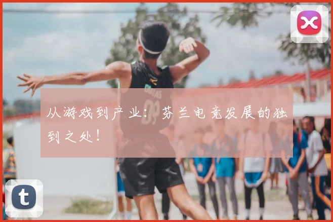 从游戏到产业：芬兰电竞发展的独到之处！